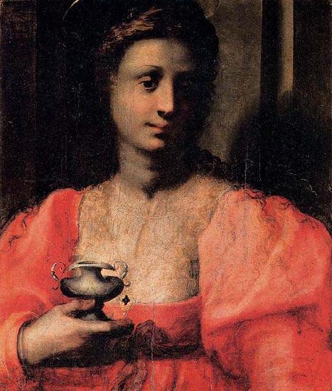 Domenico Puligo Mary Magdalen Spain oil painting art